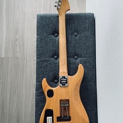 1994年製Washburn N2 ワッシュバーン ヌーノ・ベッテンコートNuno Bettencourt  の画像