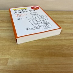 モルフォ人体デッサンの画像