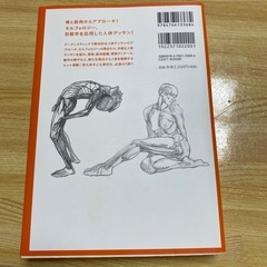 モルフォ人体デッサンの画像