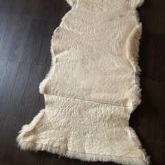 ムートンラグ１匹もの白色系の画像