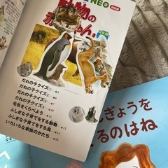 絵本　8冊の画像