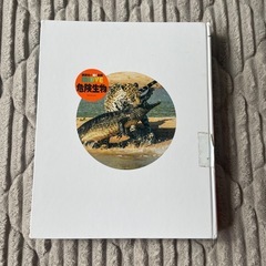 図鑑　危険生物の画像