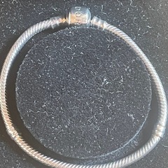 PANDORA Bracelet✨パンドラブレスレット SV925 ブレスレットの画像