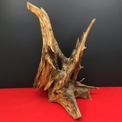 流木 大型オブジェ 置物の画像