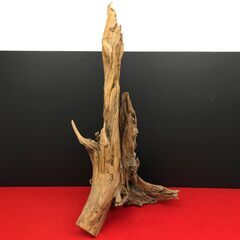流木 大型オブジェ 置物の画像
