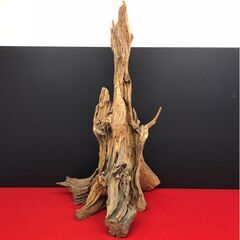 流木 大型オブジェ 置物の画像