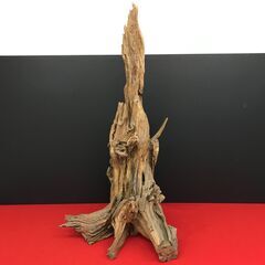 流木 大型オブジェ 置物の画像