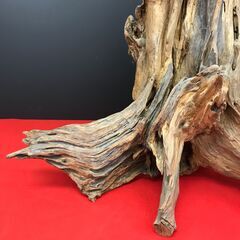 流木 大型オブジェ 置物の画像