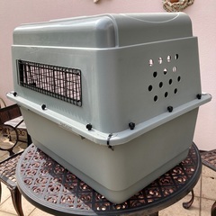 中大型犬　ハードクレート　ケンネル　航空基準クリア　petmateの画像