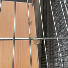 スチールラック　高さ150cm　棚　（0922）の画像