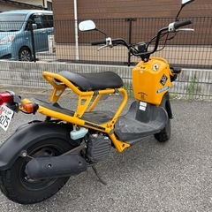 HONDA ズーマー50の画像