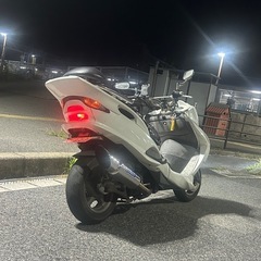 コマジェ の画像