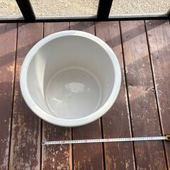 陶器鉢 穴なしの画像