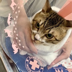 １才　男の子　