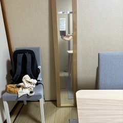 IKEA姿鏡の画像