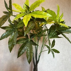 フェイクグリーン　人工観葉植物　パキラ　多幸の木の画像