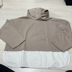 レディース　トップス　ニット　　の画像