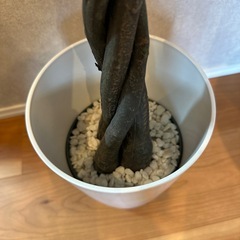 フェイクグリーン　人工観葉植物　パキラ　多幸の木の画像