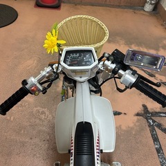 シャリー　角目　ローダウン　ブレンボ　カニキャリパー　太足　3.5jの画像