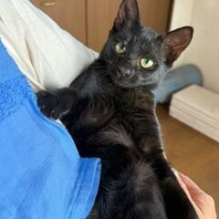 推定4月生まれのかわいい子です。