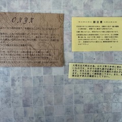 天然石オニキスの灰皿・ライターセットの画像