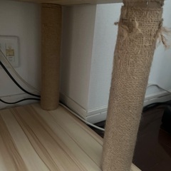 キャットタワーの画像