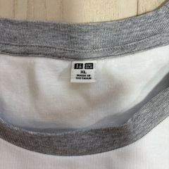 子供Tシャツの画像