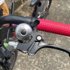 トレック　プレキャリバー20 20インチ自転車の画像
