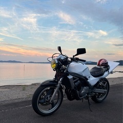 バリオス１型の画像