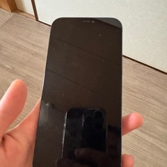 iPhone1212 Pro Max 発送可！！の画像