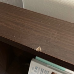 フロアベッドセミダブルの画像