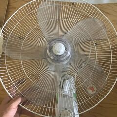 【壁掛け扇風機 オーヤマ PF-404WA-W / 使用済み / 動作品（カバー留め具破損あり）】 の画像
