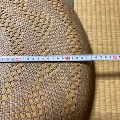 座布団　本パナマ(天然)の画像