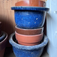 植木鉢🪴の画像
