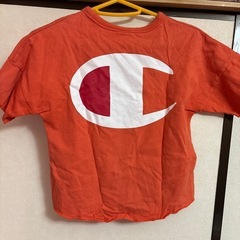 チャンピオン　120cmの画像