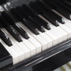 セガトイズ グランドピアニスト G-2399の画像
