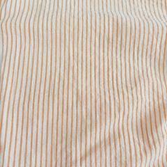 ストライプシャツ　Fsizeの画像