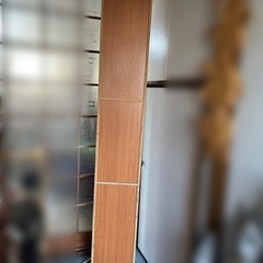 鏡付収納棚の画像