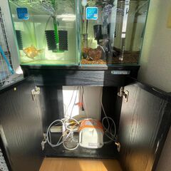 30㎝キューブ水槽x2と60cm水槽台の画像