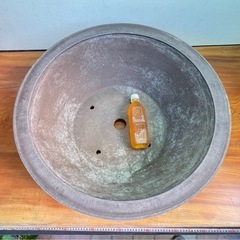 Y50 二尺の特大丸鉢の画像