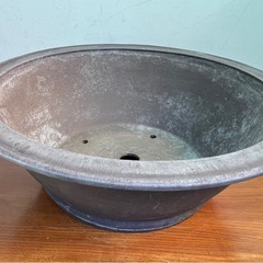 Y50 二尺の特大丸鉢の画像