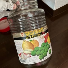 梅酒　果実酒瓶の画像