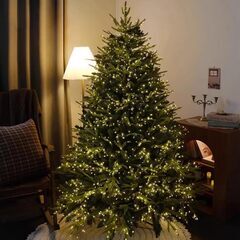 🎄✨ 思い出のクリスマスツリー、無料で差し上げます ✨🎄の画像
