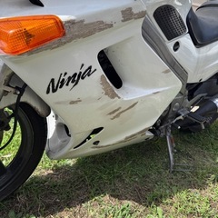 カワサキ ZZR250 EX250Hの画像