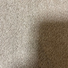 ブロックカーペット　ベージュ　26枚の画像