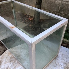水槽の画像