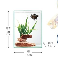 美品★ガラス水槽　GEX　の画像