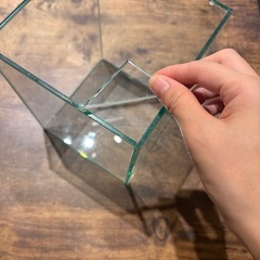 美品★ガラス水槽　GEX　の画像