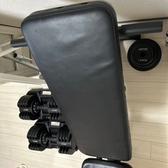 トレーニングベンチ の画像
