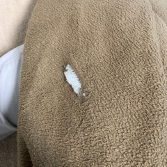 こたつセットの画像